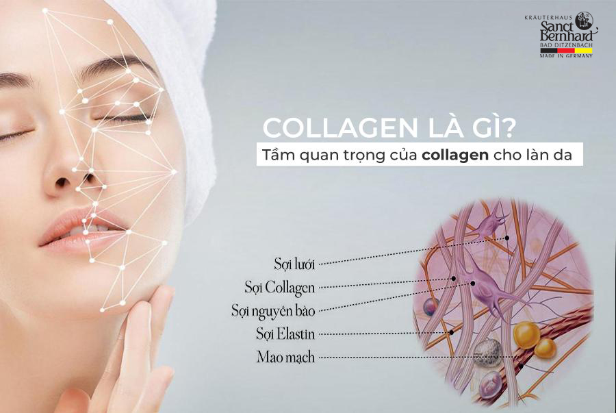 collagen